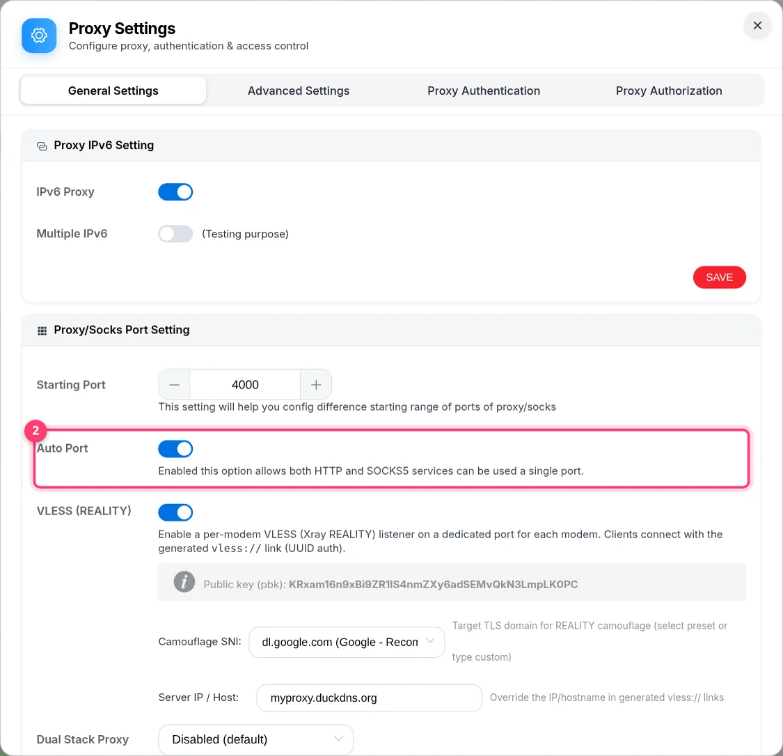 Proxy Settings, General Settings tab: Starting Port, Auto Port and VLESS switches