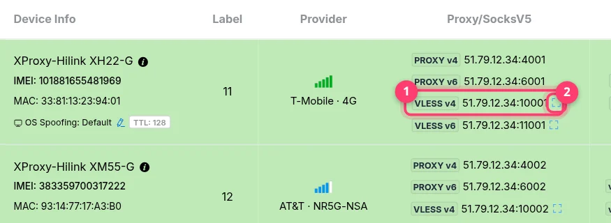 VLESS v4 and VLESS v6 ports with the QR icon in the Proxy/SocksV5 column