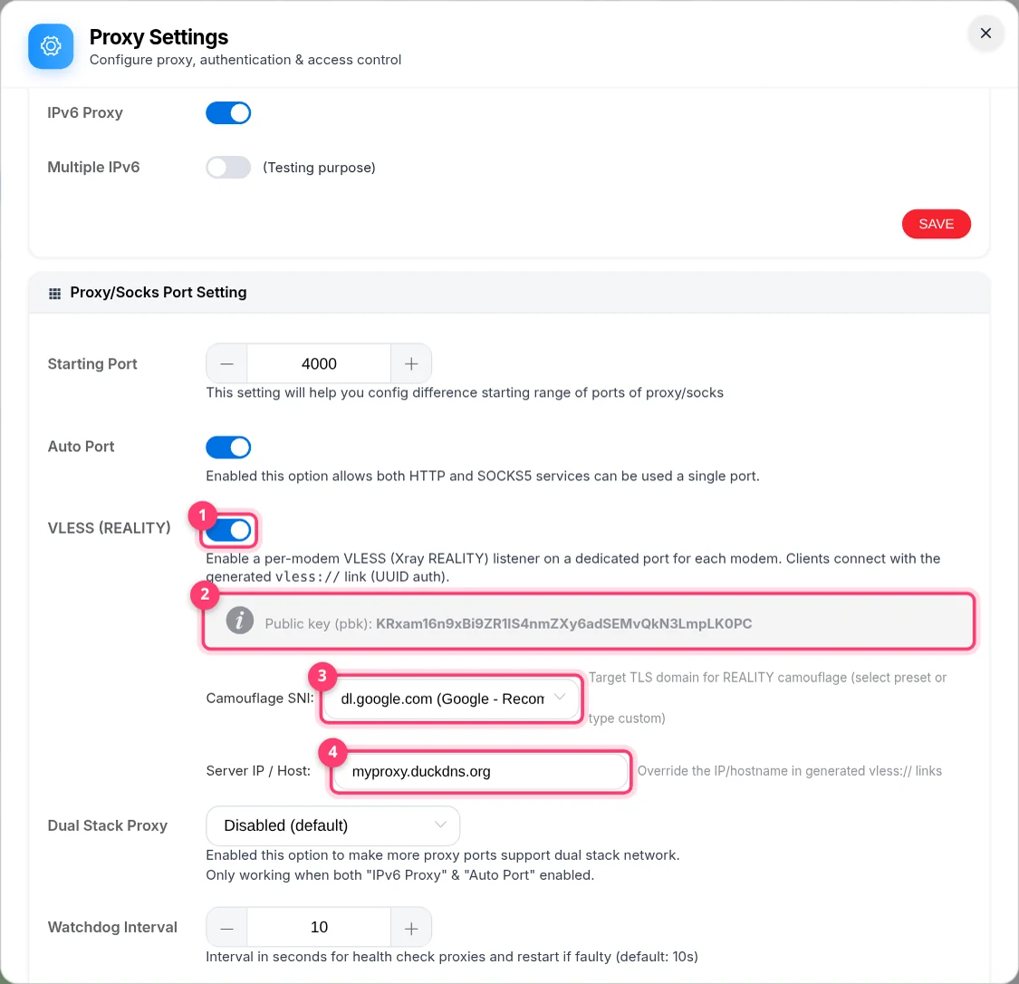 VLESS (REALITY) switch with public key, Camouflage SNI and Server IP / Host fields