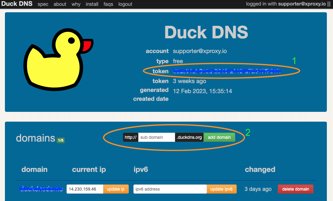 DuckDNS token and subdomain