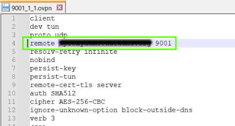openvpn client edit local IP to Dynamic DNS Address