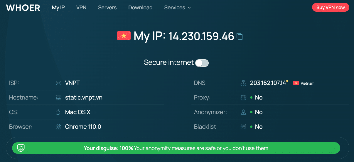 Find public IP at whoer.net