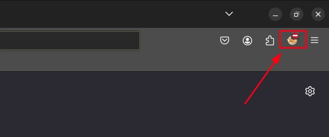 Open FoxyProxy Options